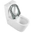 Унитаз напольный, безободковый для людей с ограниченными возможностями (сиденье в комплекте) - Сантехника