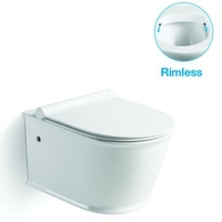 Унитаз подвесной безободковый (сиденье микролифт)  - Сантехника