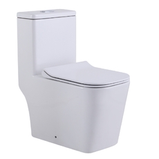 Унитаз напольный, безободковый, МОНОБЛОК  (сиденье микролифт) Арматура GEBERIT - Сантехника