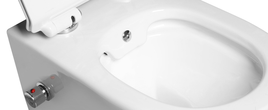 Унитазы с функцией биде